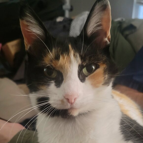 Meet your Posher, Kimberly - Picture 1 of 2